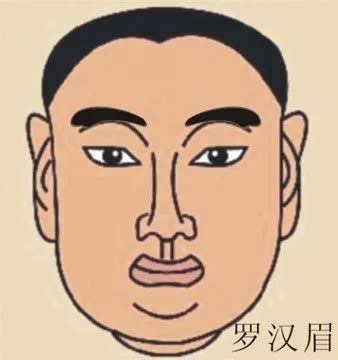 羅漢眉 面相